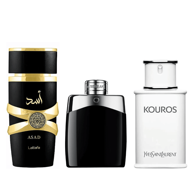 Promoção Kit de perfumes Compre 1 Leve 3 - 100ml Cada